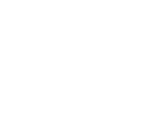 220 Interiors Carpet & Flooring Logo